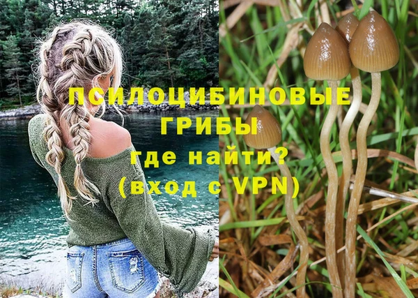 2c-b Алексин