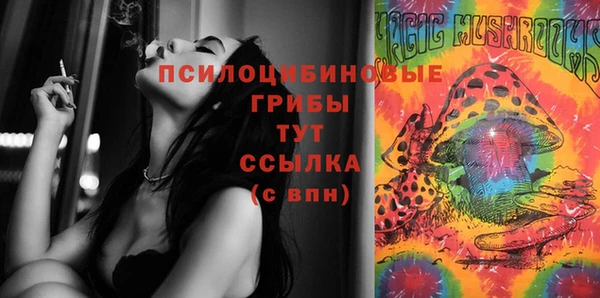 спиды Алзамай