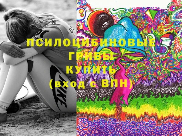 гидропоника Абаза