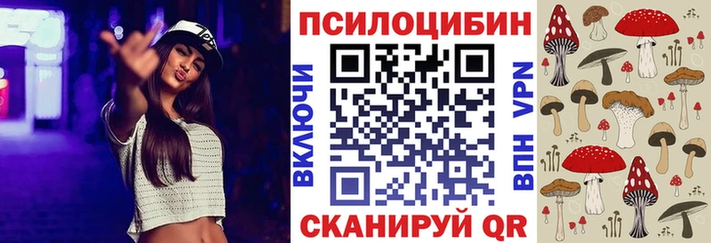 мориарти как зайти  Шенкурск  Галлюциногенные грибы ЛСД 