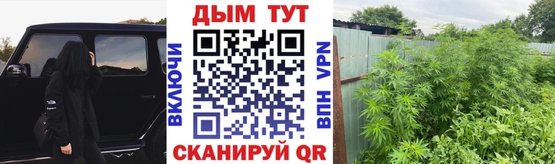 omg как войти  Шенкурск  Марихуана LSD WEED 